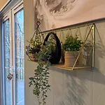 Cheerful 3 Bedroom At White Cross Bay * 温德米尔